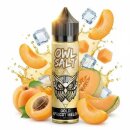 OWL Salt Apricot Melon10 ml