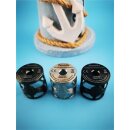 Vapefly Brunhilde MTL Frame Shield 6 Stck