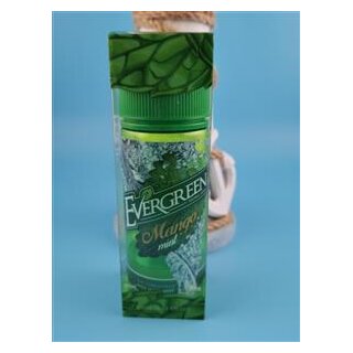 Evergreen Mango Mint 8 ml